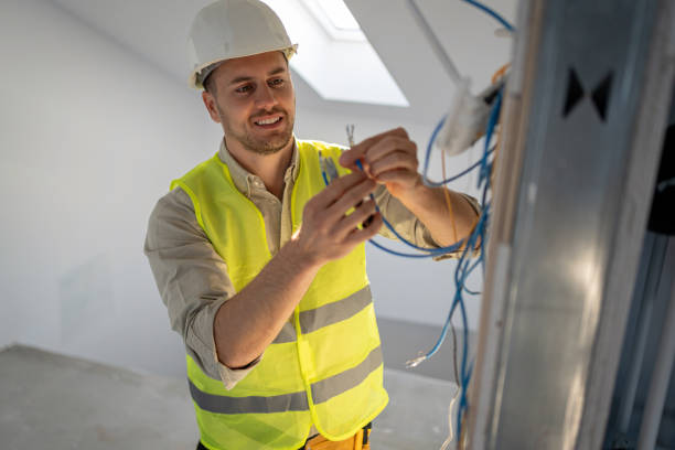 Best Electric Panel Repair  in Holden, MO